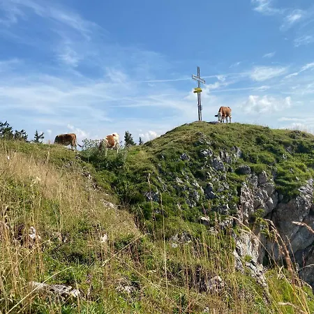 Obersdorfer Hof Bad Mitterndorf