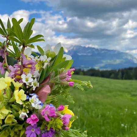 Obersdorfer Hof Gospodarstwo wiejskie Bad Mitterndorf