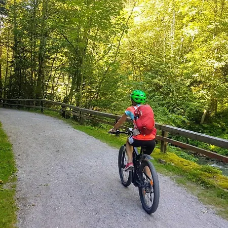 Obersdorfer Hof منزل ريفي