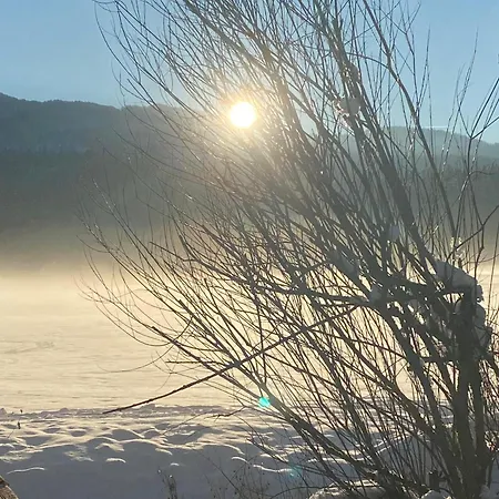 Gospodarstwo wiejskie Obersdorfer Hof Bad Mitterndorf