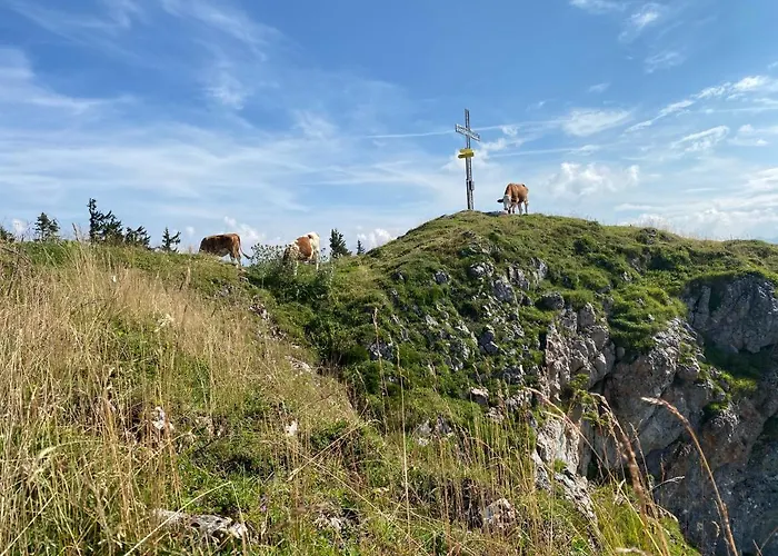 Obersdorfer Hof Bad Mitterndorf