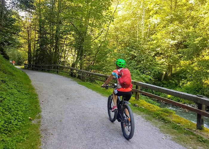 Obersdorfer Hof Kır Evi